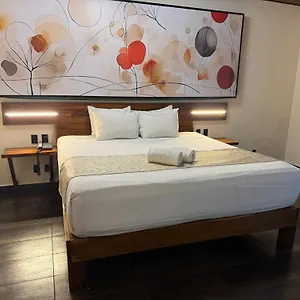 **** Hotell Kavia 5th Avenida (adults Only) Mexiko